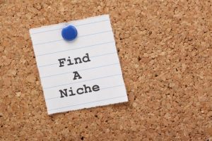 Reality Blog: Choosing Your Copywriting Niche