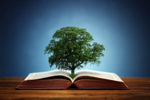 6 Reasons Why Writing a Book is Your Secret Weapon
