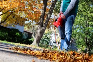 Reality Blog: How a Leaf Blower Helped Set My Copywriting Fees