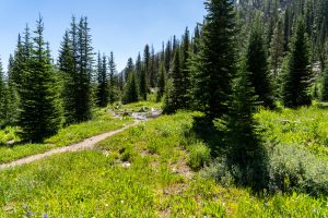 The Buyer’s Journey: Lessons from Trail Building