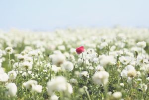 Your Roadmap to Conquer Mediocre B2B Content