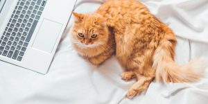 5 Ways to Boost Content Value and Avoid Fluff