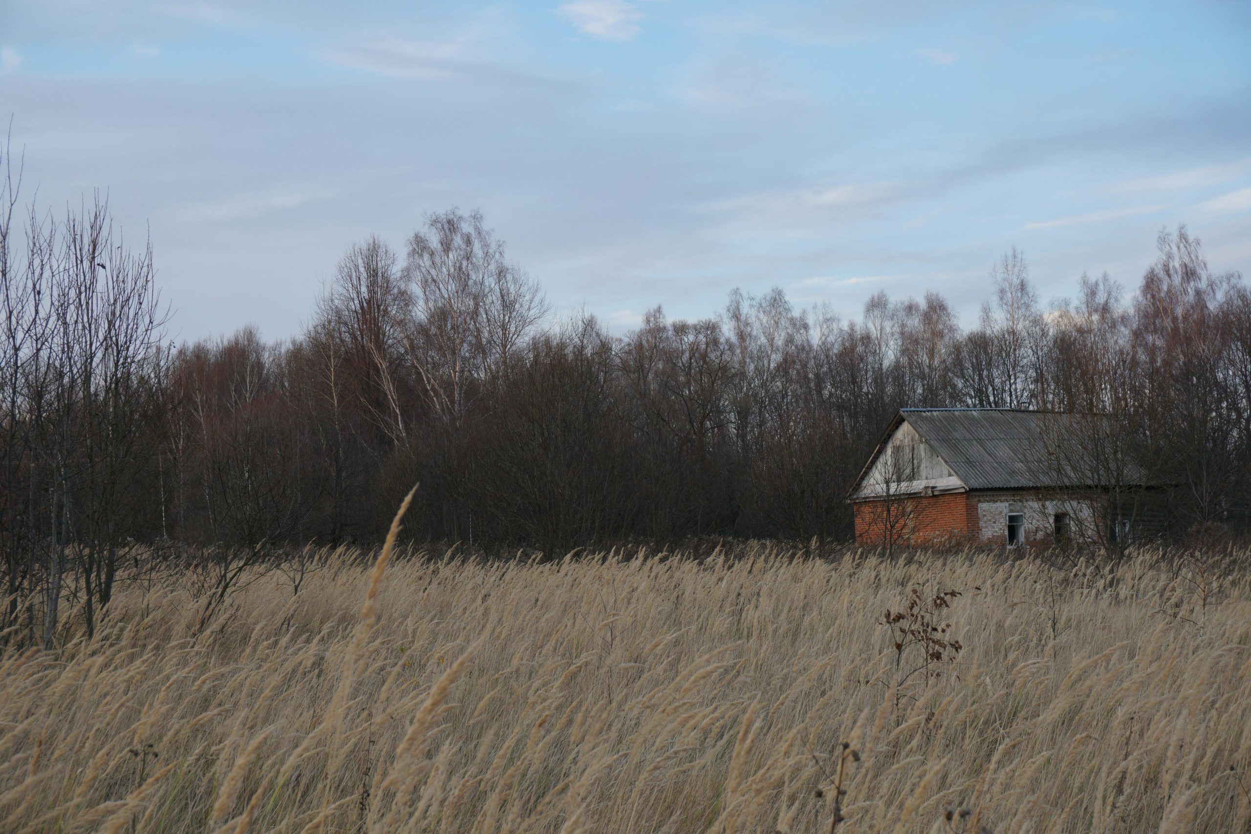 old building on prairie lot