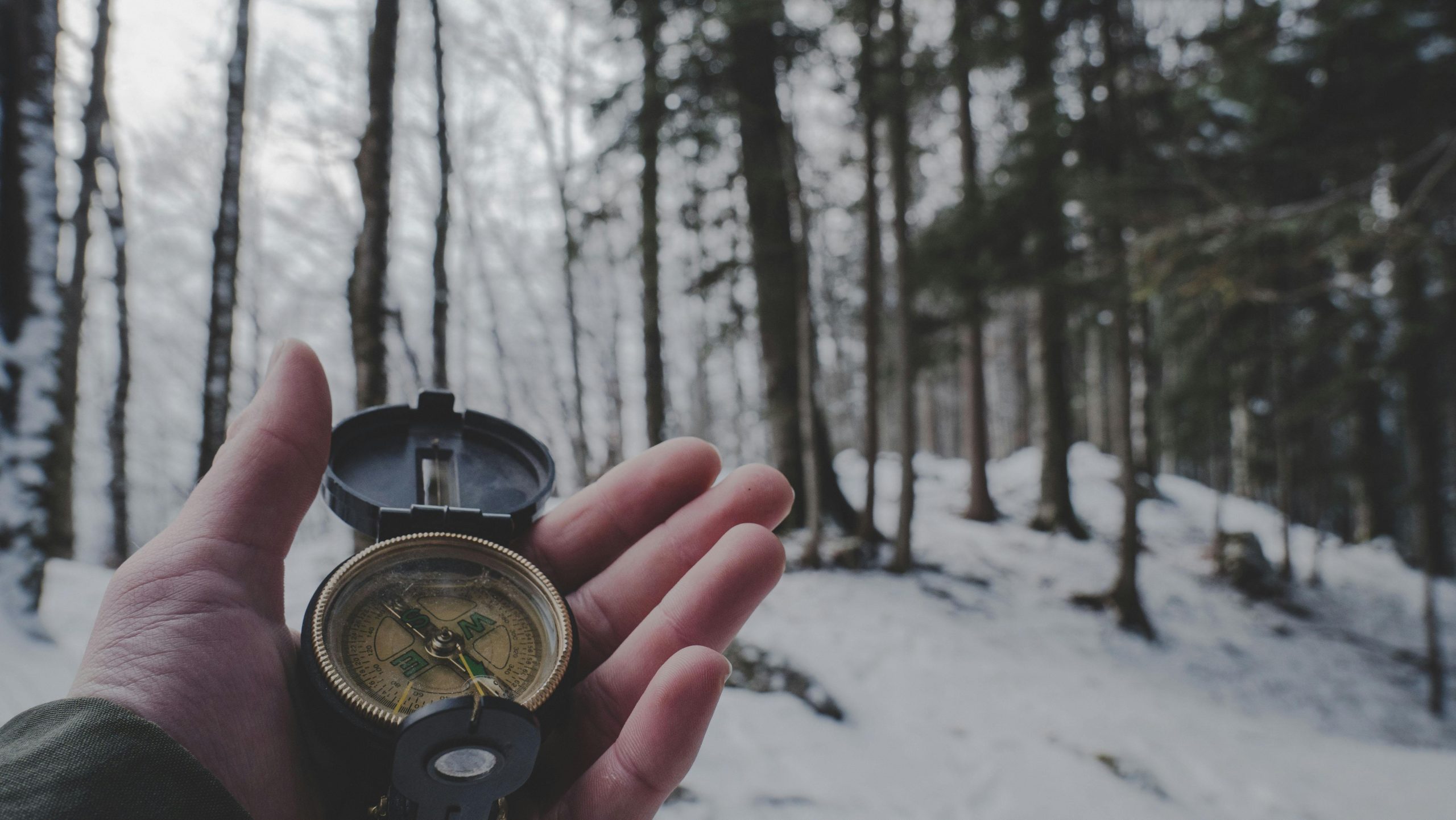 searching with compass